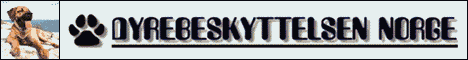 banner_animert.gif